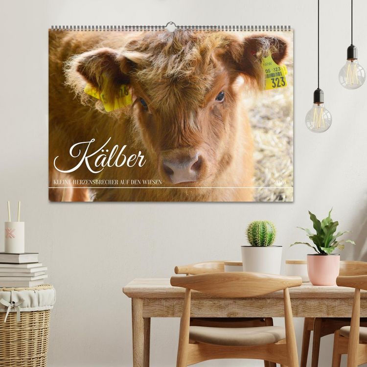 Produktbild: K&auml;lber - Kleine Herzensbrecher auf den Wiesen (Wandkalender 2026 DIN A2 quer), CALVENDO Monatskalender