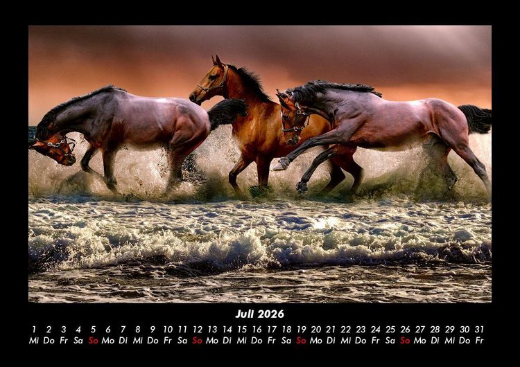Produktbild: Die Welt der Pferde 2026 Fotokalender DIN A3