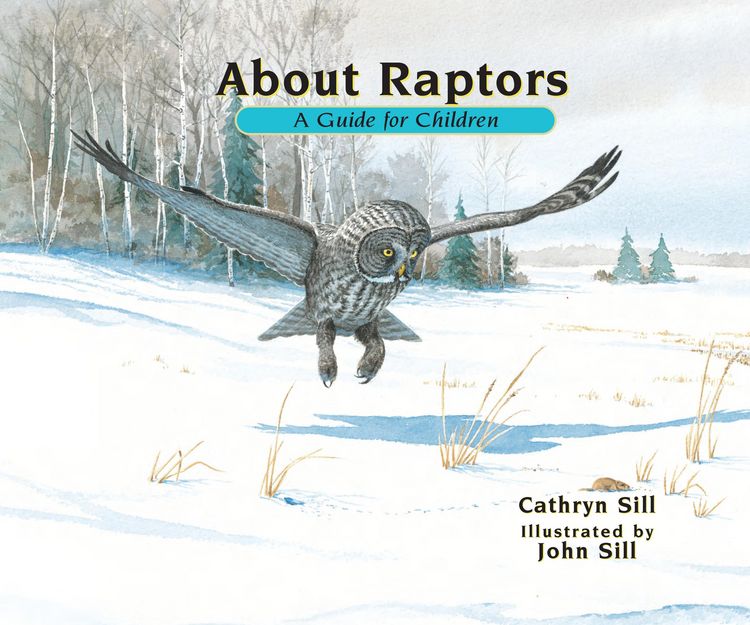 Produktbild: About Raptors