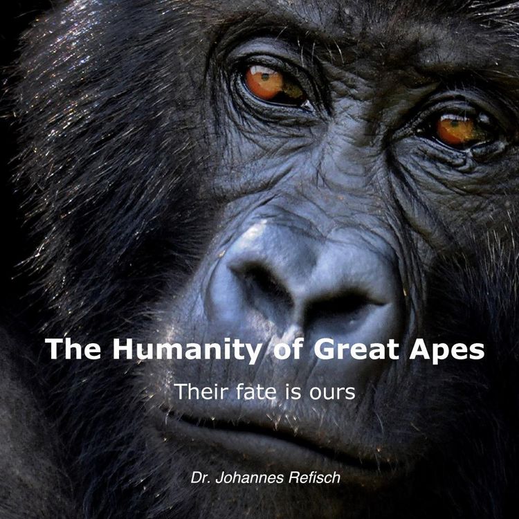 Produktbild: Humanity of Great Apes