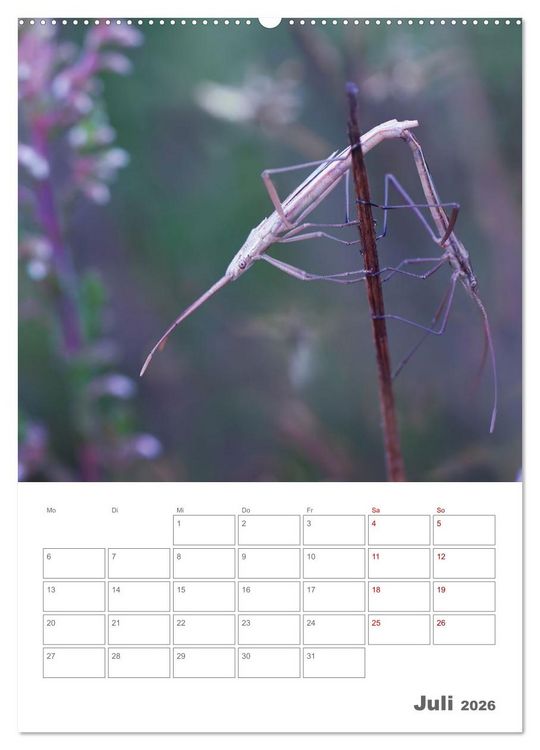 Produktbild: Helden in der Natur (Wandkalender 2026 DIN A2 hoch), CALVENDO Monatskalender