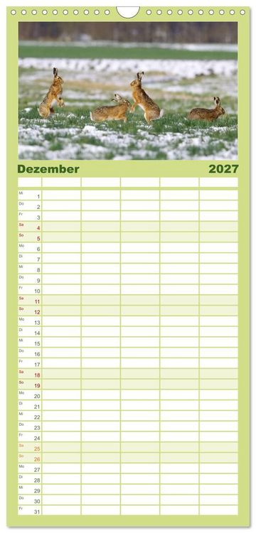 Produktbild: Familienplaner 2027 - Feldhasen in H&ouml;chstform mit 5 Spalten (Wandkalender, 21 x 45 cm) CALVENDO
