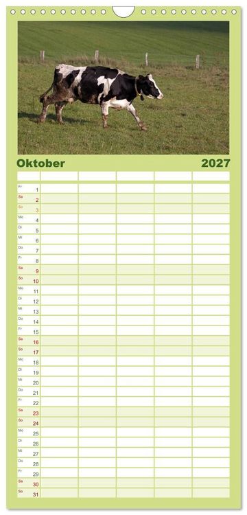 Produktbild: Familienplaner 2027 - Muuuhhh! mit 5 Spalten (Wandkalender, 21 x 45 cm) CALVENDO