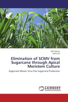 Produktbild: Saleem, A: Elimination of SCMV from Sugarcane through Apical