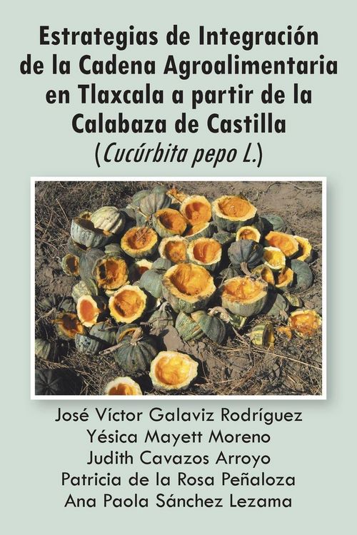 Produktbild: Estrategias de Integracion de La Cadena Agroalimentaria En Tlaxcala a Partir de La Calabaza de Castilla (Cucurbita Pepo L.)