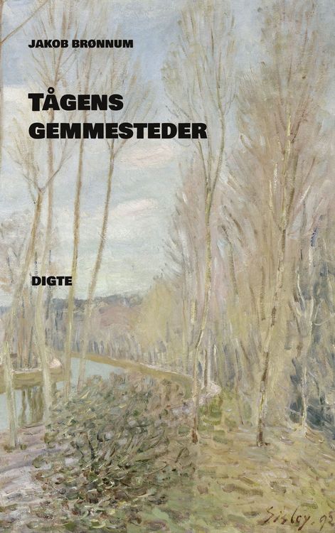 Produktbild: T&aring;gens gemmesteder