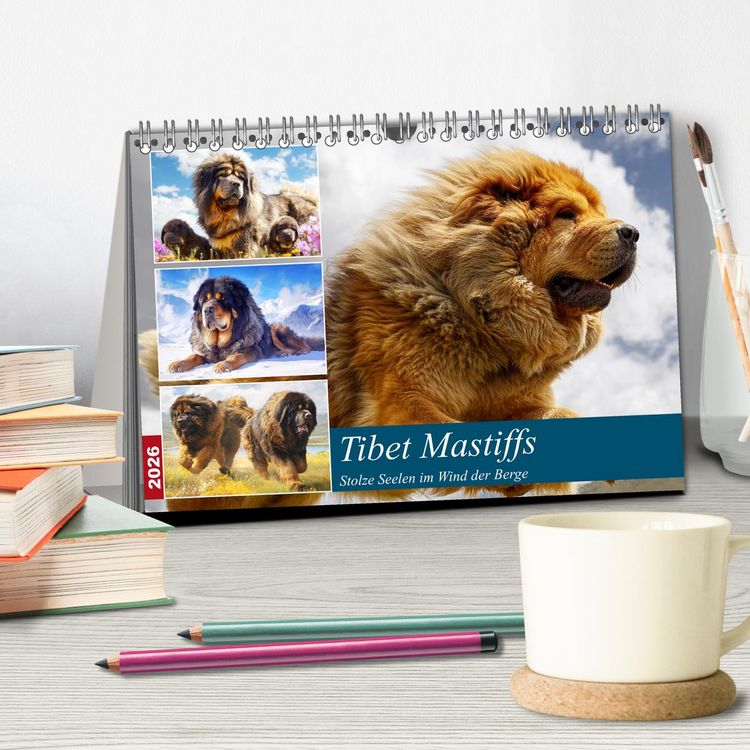 Produktbild: Tibet Mastiffs. Stolze Seelen im Wind der Berge (Tischkalender 2026 DIN A5 quer), CALVENDO Monatskalender