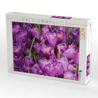 Produktbild: CALVENDO Puzzle Lila Krokusse | 1000 Teile Lege-Gr&ouml;&szlig;e 64x48cm Foto-Puzzle f&uuml;r gl&uuml;ckliche Stunden