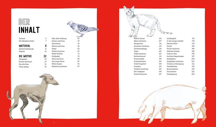 Produktbild: Tiere zeichnen &ndash; Das XXL-Starter-Set: Zwei B&uuml;cher im Bundle