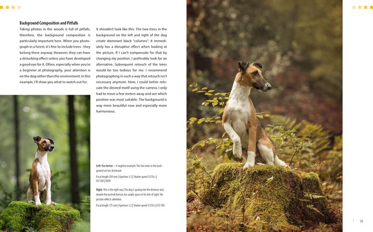 Produktbild: Dog Photography - Shooting with Bow "Wow" Effect