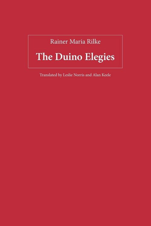 Produktbild: The Duino Elegies