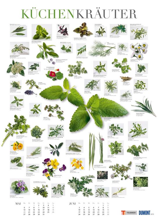 Produktbild: Food, Poster-Kalender 2013