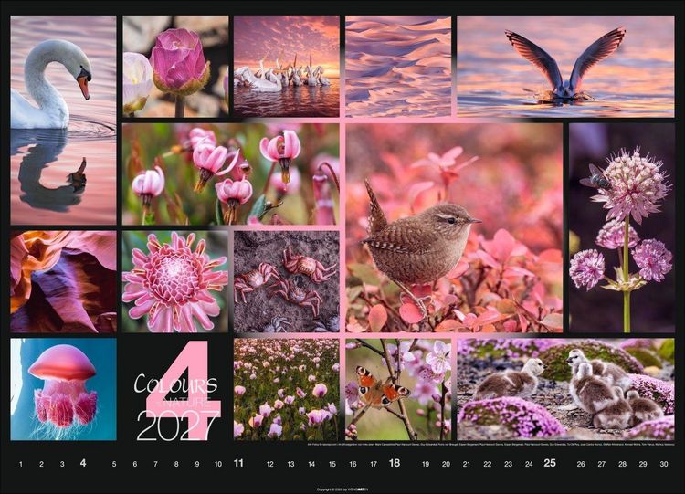 Produktbild: Colours of Nature Kalender 2027