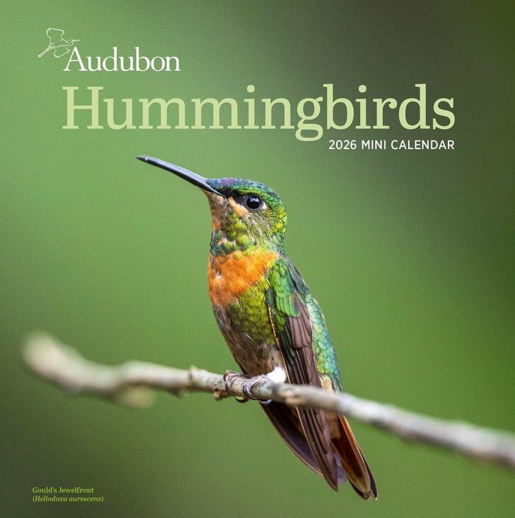 Produktbild: Audubon Hummingbirds Mini Wall Calendar 2026