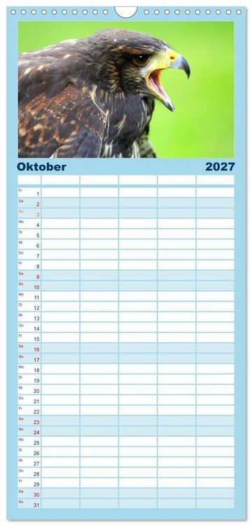 Produktbild: Familienplaner 2027 - Greifv&ouml;gel, Eulen und K&auml;uze mit 5 Spalten (Wandkalender, 21 x 45 cm) CALVENDO