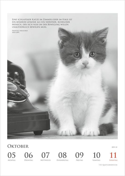 Produktbild: Der poetische Katzenkalender 2027