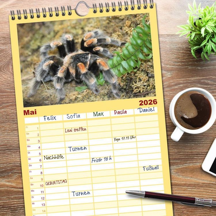 Produktbild: Familienplaner 2026 - Vogelspinnen mit 5 Spalten (Wandkalender, 21 x 45 cm) CALVENDO