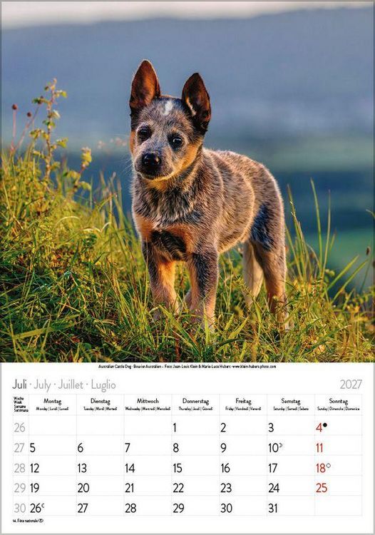 Produktbild: Hunde 2027