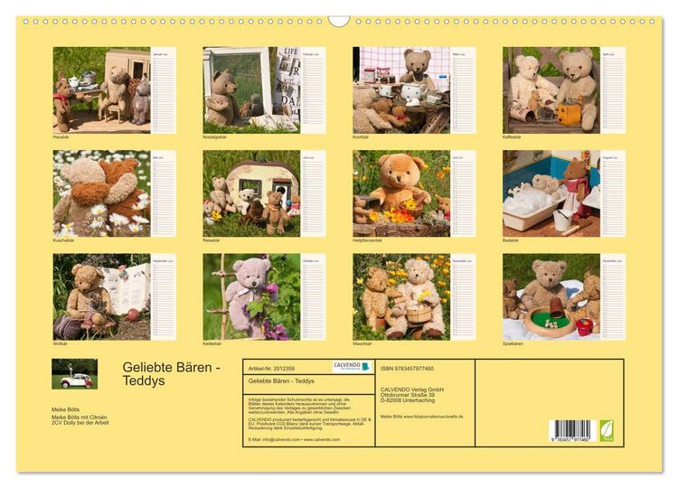 Produktbild: Geliebte B&auml;ren - Teddys (Wandkalender 2026 DIN A2 quer), CALVENDO Monatskalender
