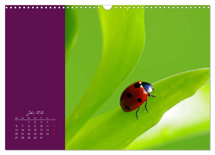 Produktbild: Momente des Gl&uuml;cks (Wandkalender 2026 DIN A3 quer), CALVENDO Monatskalender