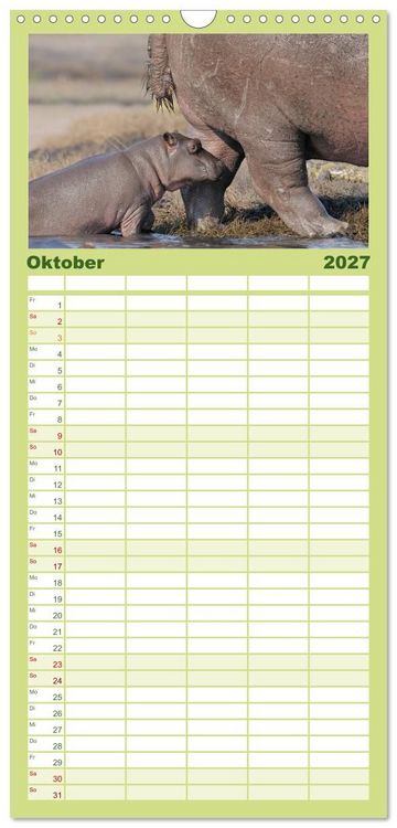 Produktbild: Familienplaner 2027 - Flusspferde Magie des Augenblicks - Hippos in Afrika mit 5 Spalten (Wandkalender, 21 x 45 cm) CALVENDO