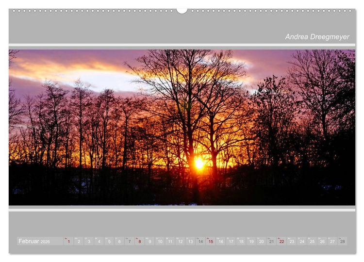 Produktbild: Krummh&ouml;rn im Panorama-Format (Wandkalender 2026 DIN A2 quer), CALVENDO Monatskalender
