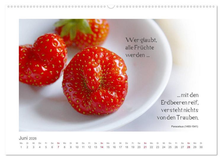 Produktbild: FunnyFood (hochwertiger Premium Wandkalender 2026 DIN A2 quer), Kunstdruck in Hochglanz