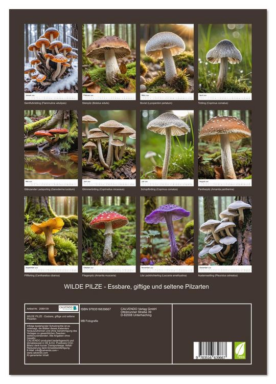 Produktbild: WILDE PILZE - Essbare, giftige und seltene Pilzarten (hochwertiger Premium Wandkalender 2026 DIN A2 hoch), Kunstdruck in Hochglanz