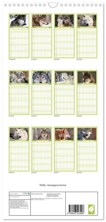 Produktbild: Familienplaner 2026 - W&ouml;lfe. Verwegene Anmut mit 5 Spalten (Wandkalender, 21 x 45 cm) CALVENDO