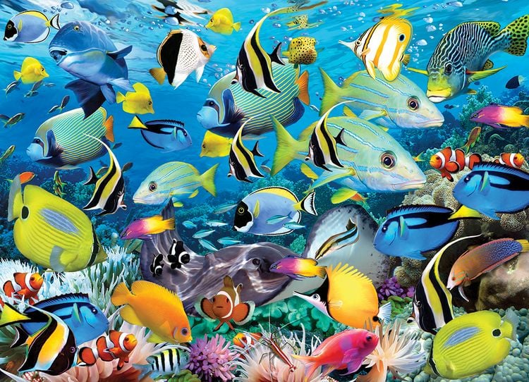 Produktbild: Ocean Colors by Howard Robinson