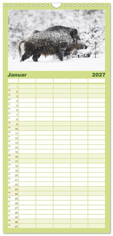 Produktbild: Familienplaner 2027 - Wildschweine &ndash; Wildlife Fotografien mit 5 Spalten (Wandkalender, 21 x 45 cm) CALVENDO
