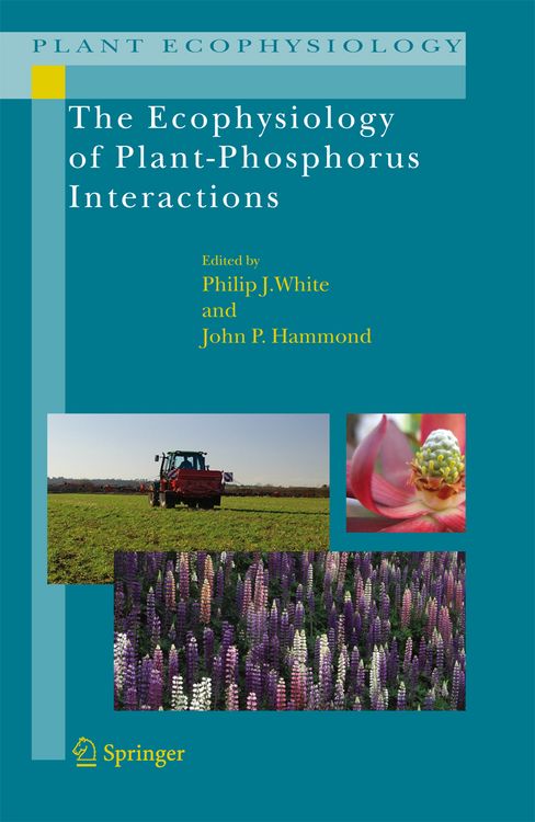 Produktbild: The Ecophysiology of Plant-Phosphorus Interactions