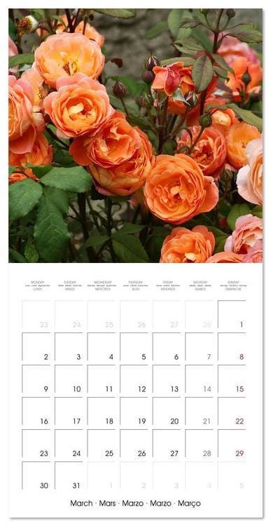 Produktbild: LE PARFUM ENVO&Ucirc;TANT DES ROSES (Calendrier mural carr&eacute; 2026 30x30 cm) Calendrier double avec une page pour vos prises de notes