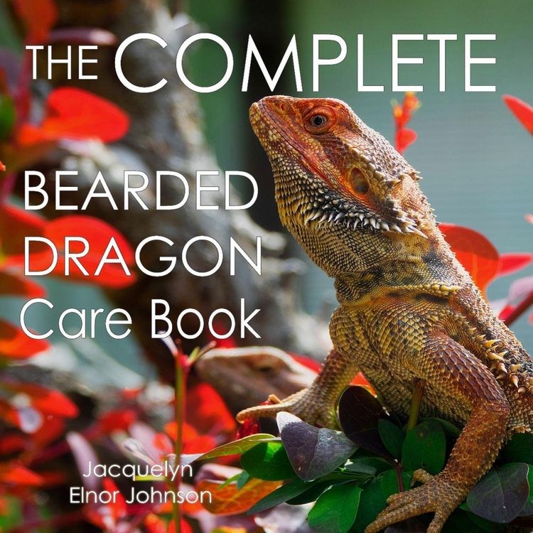 Produktbild: The Complete Bearded Dragon Care Book
