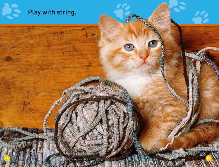 Produktbild: National Geographic Kids: Play, Kitty!