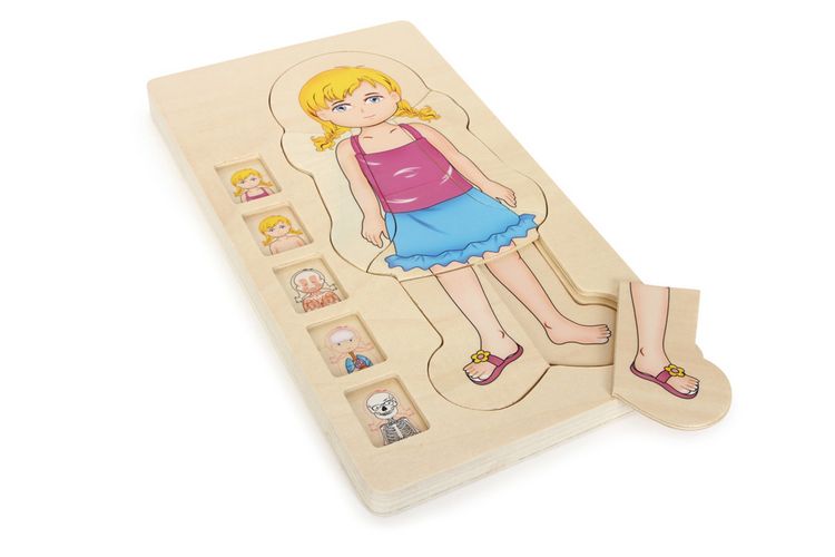 Produktbild: Schichtenpuzzle Anatomie M&auml;dchen