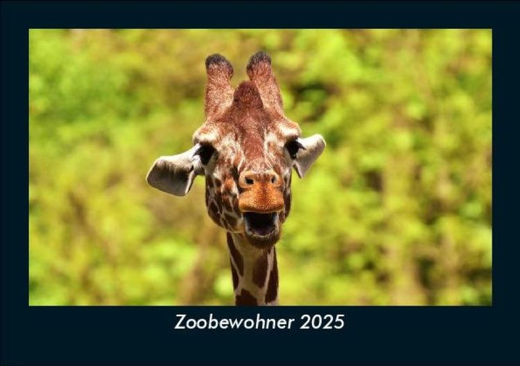 Produktbild: Zoobewohner 2025 Fotokalender DIN A5