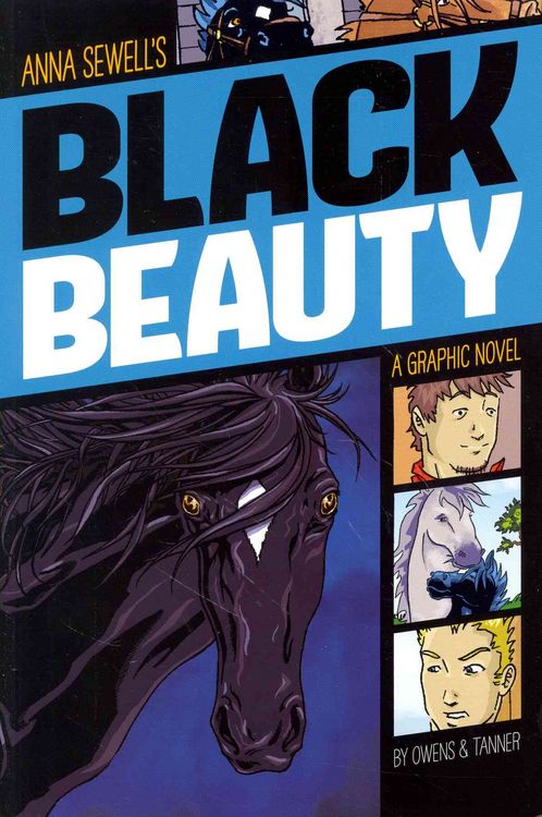 Produktbild: Black Beauty