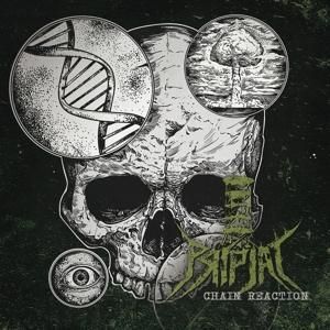 Produktbild: Chain Reaction