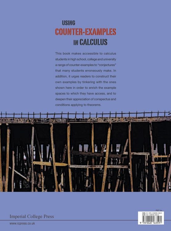Produktbild: Using Counter-Examples in Calculus