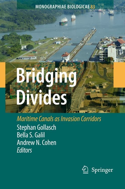 Produktbild: Bridging Divides