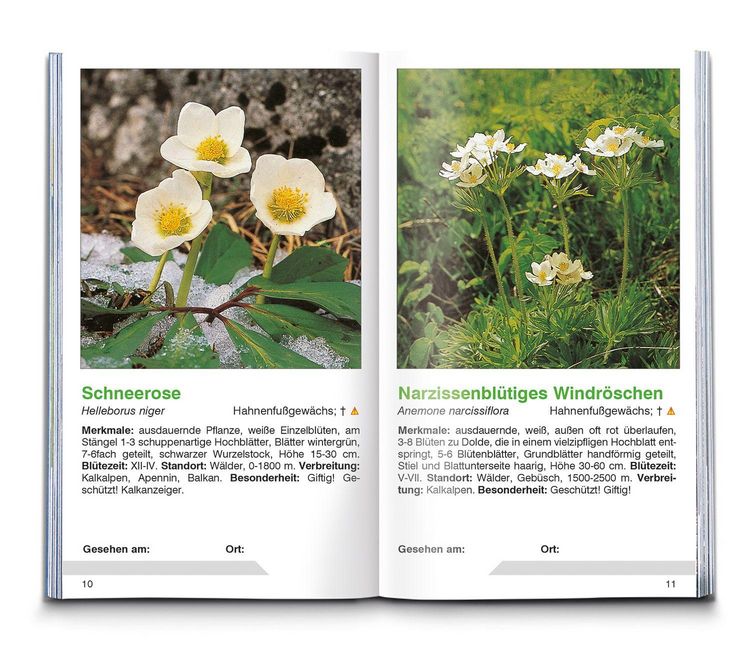 Produktbild: Alpenblumen