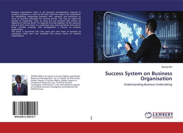 Produktbild: Success System on Business Organisation