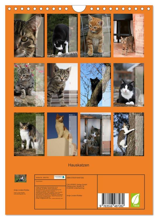Produktbild: Hauskatzen (Wandkalender 2026 DIN A4 hoch), CALVENDO Monatskalender