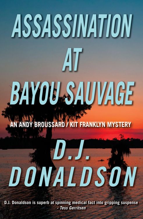 Produktbild: Assassination at Bayou Sauvage