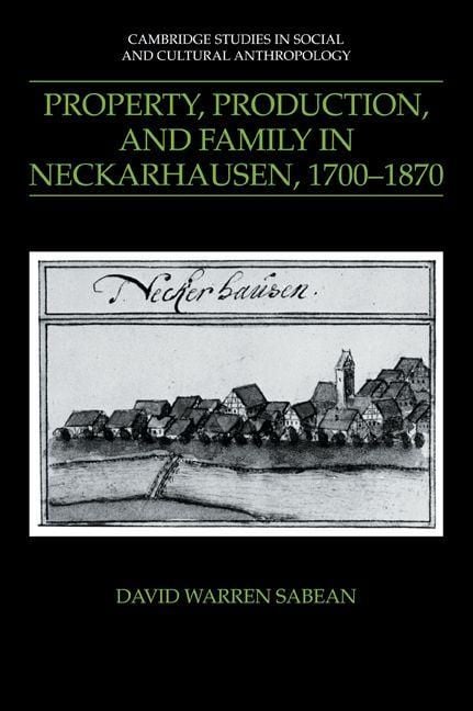 Produktbild: Property, Production, and Family in Neckarhausen, 1700 1870