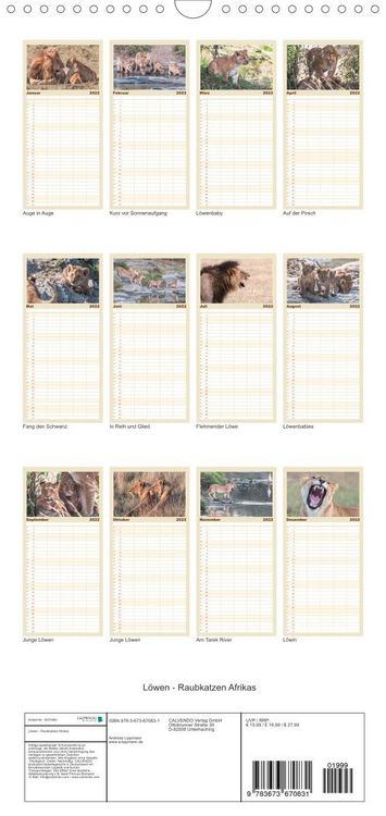 Produktbild: L&ouml;wen - Raubkatzen Afrikas - Familienplaner hoch (Wandkalender 2022 , 21 cm x 45 cm, hoch)