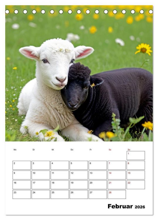Produktbild: Mit Tieren hinein in das neue Jahr (Tischkalender 2026 DIN A5 hoch), CALVENDO Monatskalender