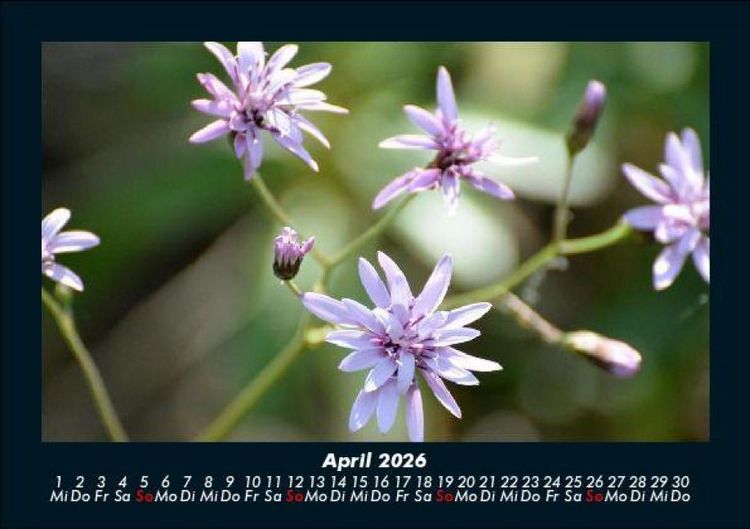 Produktbild: Bilder der Natur 2026 Fotokalender DIN A5