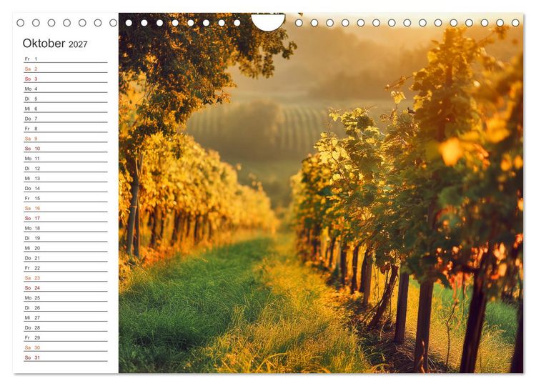 Produktbild: Zwischen Reben und Himmel (Wandkalender 2027 DIN A4 quer), CALVENDO Monatskalender